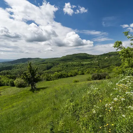 Prázdninový dům Summerhouse Beram Pazin