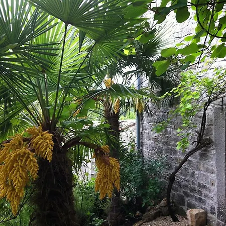 Vakantiehuis Summerhouse Beram Pazin